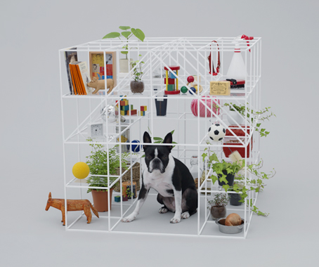Architecture for Dogs
